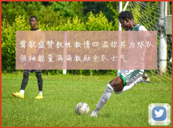 莺歌盛赞教练激情四溢称其为球队领袖能量满满激励全队士气